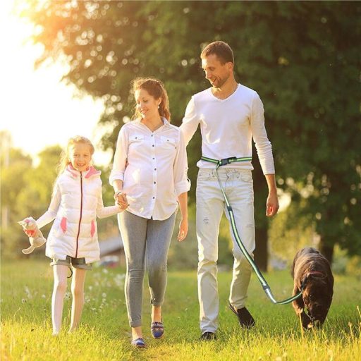 Runner Buddy 4.0 running dog leash blue packaging 1 pc