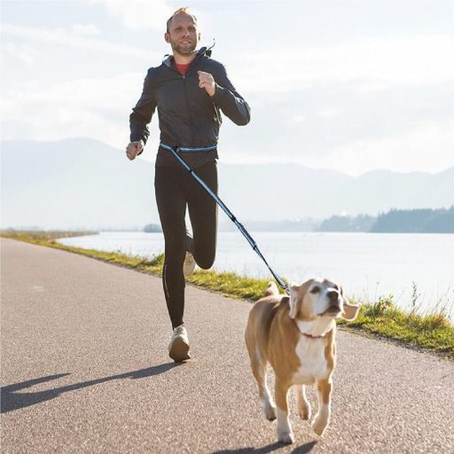 Runner Buddy 4.0 running dog leash blue packaging 1 pc