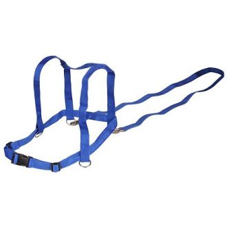 Gyerek ló gyerekjáték kék csomagolás 1 db