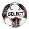 FB Futsal Samba futsal labda fehér-ezüst labda 4-es méret