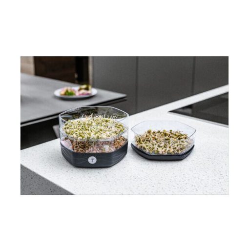 Mungo sprout bowl green packaging 1 pc