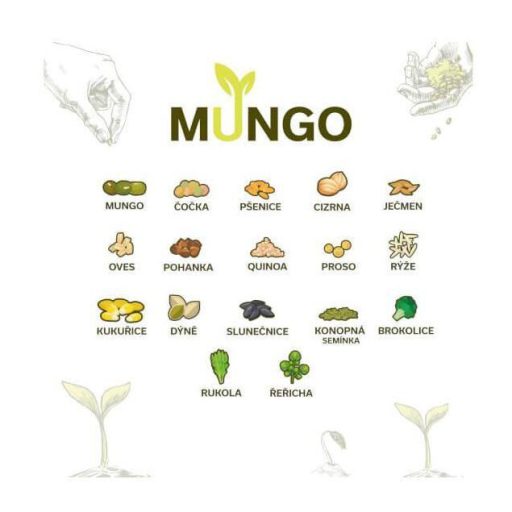 Mungo sprout bowl green packaging 1 pc