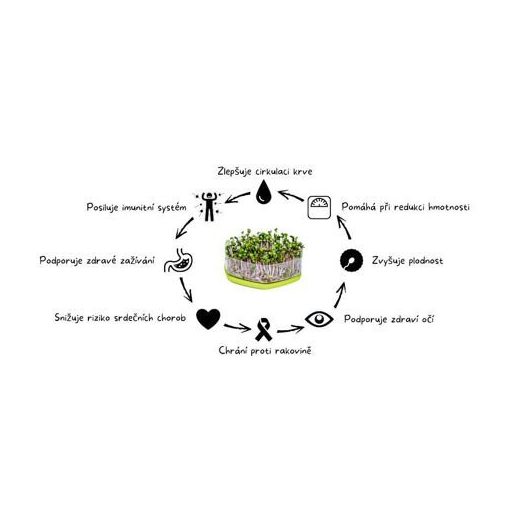 Mungo csírázótál fehér csomagolásban 1 db