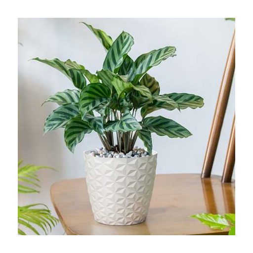 Crystal Mat díszes virágcserép fehér átmérőjű 30 cm