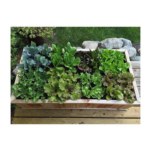 Vetőgép kerti szerszám vetés sablon csomagolás 1 db