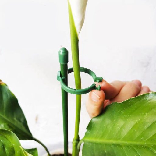 Plant Rod 60 plant support rods 10 pcs packaging 1 set