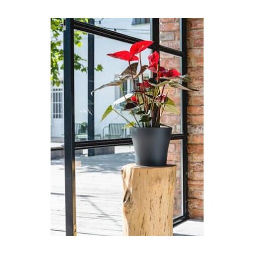Tulipan Mat flower pot grey diameter 24 cm