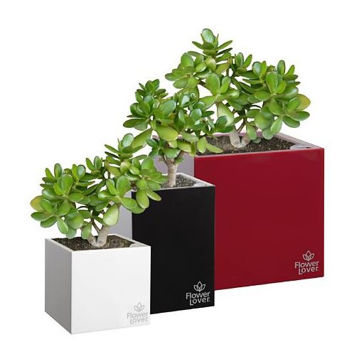 Cubico önöntöző virágcserép piros, hossza 27 cm