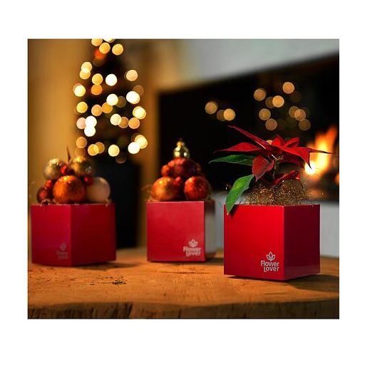 Cubico önöntöző virágcserép piros, hossza 27 cm