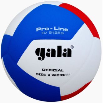 BV5125S Pro-Line volleyball ball ball size No. 5
