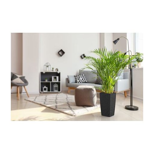 Delto Stone önöntöző virágcserép 30 x 58 cm antracit csomagolás 1 db