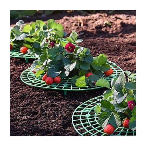 Eper Állvány 30 kerti ültetőállvány csomagolás 1 db