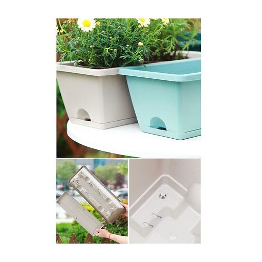 Flora virágtartó tálcával, világoskék csomagolás, 1 db