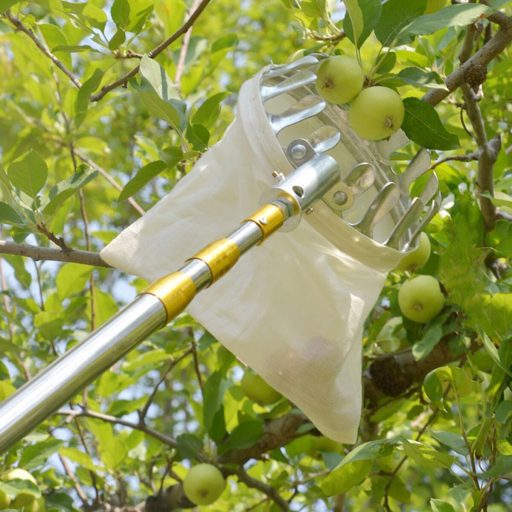 Telescopic Fruit Picker 4M packaging 1 pc