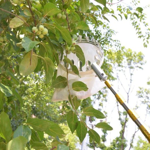 Telescopic Fruit Picker 6M packaging 1 pc