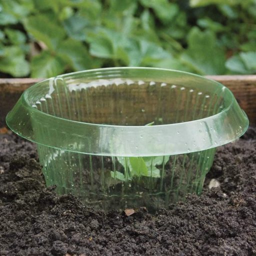 Anti Snail Collar vegetable cover 12 pcs packaging 1 set