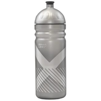 Sport XO healthy bottle 700 ml silver packaging 1 pc