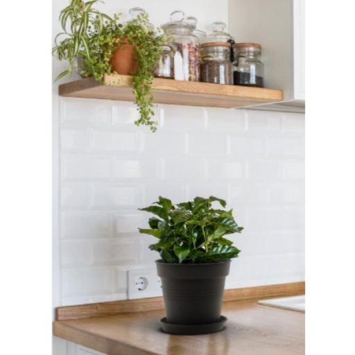 Camelie flower pot tray 15 anthracite diameter 15 cm