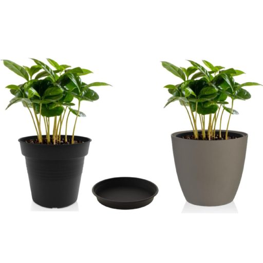 Camelie flower pot tray 20 anthracite diameter 20 cm