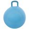 Handle Hom Jump 55 jumping gymnastic ball blue packaging 1 pc