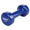 Vinyl Dumbbell dumbbell weight 2,5 kg