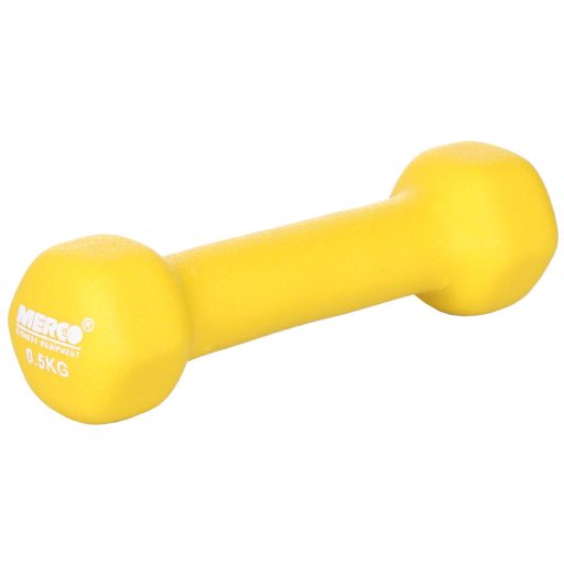 Neoprene Dumbbell dumbbell weight 1 kg