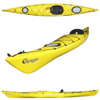 Perception Expression 15