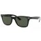 Ray-Ban RB4195 Liteforce 601/71