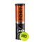 Dunlop Fort Clay Court teniszlabda 4db-os