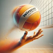 Winner, Winart röplabda