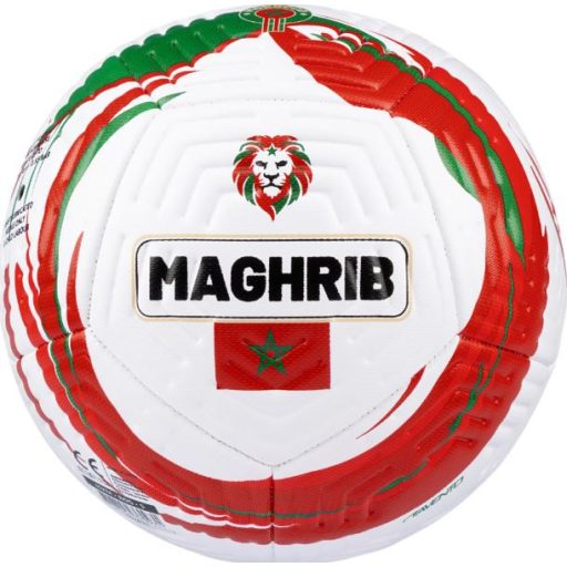 Lion Force focilabda Morocco, 5